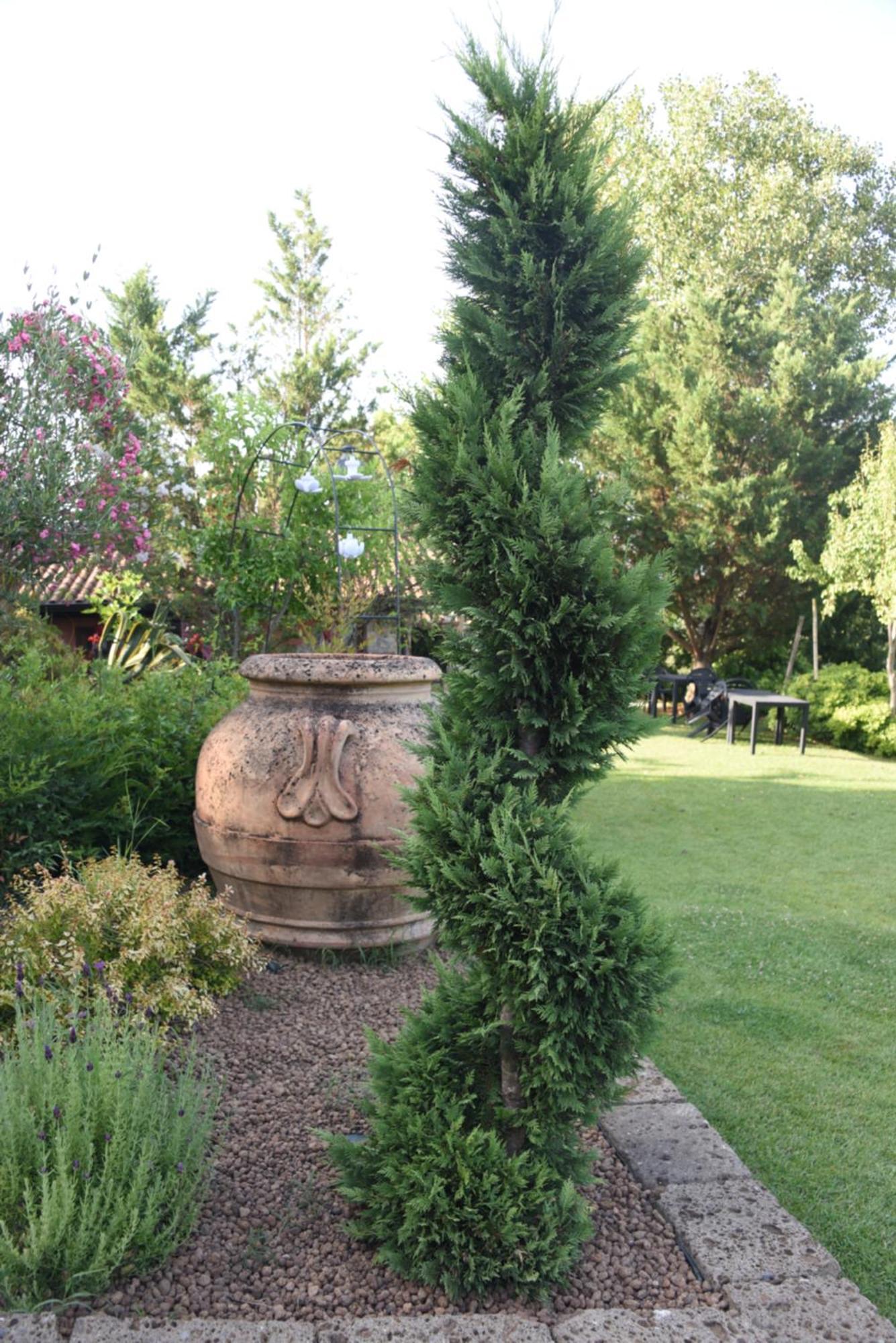 Bosco D'Olmi Country House Sant'Andrea del Garigliano Εξωτερικό φωτογραφία